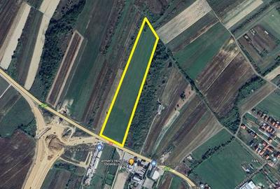 Teren extravilan - constructii, suprafata 49.933 mp, drumul E79, Beius - 1
