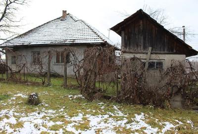 Casă cu 3 camere în Lăpuș - 1