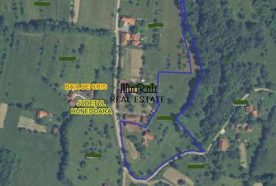 Teren de 9370 mp, în Baia de Criș