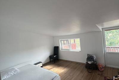 Casă cu 8 camere cu Teren 10800 Mp în Galicea - 12