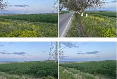 Teren cota parte 1/6 Paunesti, ID: R2547851 - 2