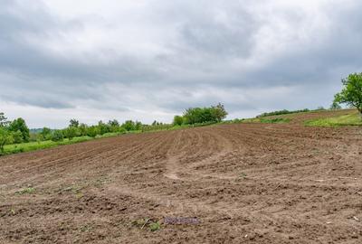 Teren Construcții de 13434 mp, în Ardeoani - 19