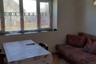 Casă cu 2 camere cu Teren 1200 Mp în Sintea Mare - 6