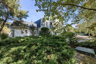 Vilă individuala în zona Iancu Nicolae - 8