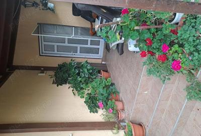 Dau in chirie casa in Marasti - 1