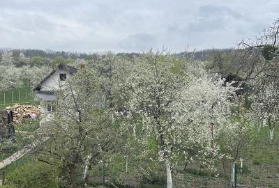 Casă cu 2 camere cu Teren 2056 Mp în Buzești - 6