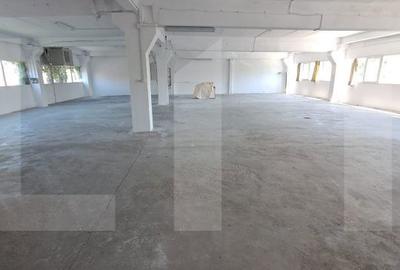 Spațiu comercial, de 461.76 mp, în Iosefin - 2