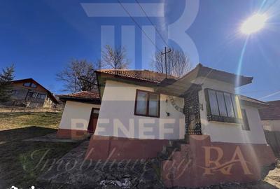 Casă cu 4 camere cu Teren 1615 Mp în Central - 8