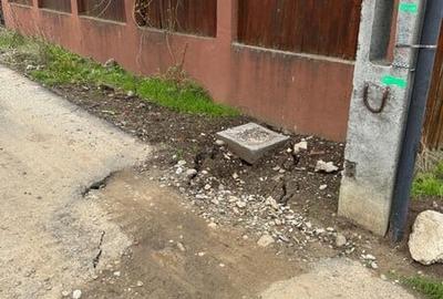 Vanzare Teren Rezidential Branesti Ilfov 1400MP - 6