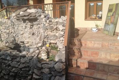 Casă cu 12 camere cu Teren 400 Mp în Micro 17 - 9