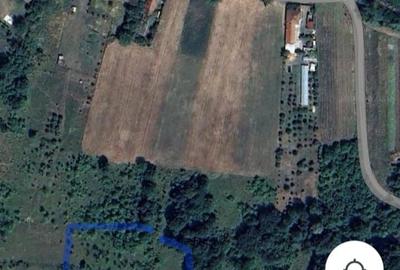 Spațiu comercial, în Pestișu Mic - 4