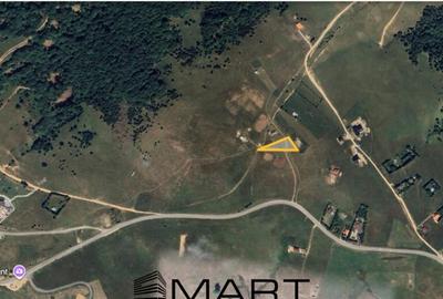 Teren intravilan zona Paltinis - 5