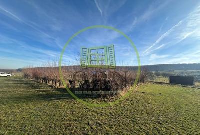 Teren intravilan 1100mp oportunitate spre vanzare in Rasinari - 1