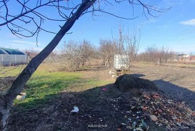 Casă cu 3 camere cu Teren 1125 Mp în Parța - 12