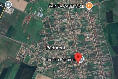 Casă individuală cu 4 camere cu Canalizare în Pădureni (Jebel) - 2