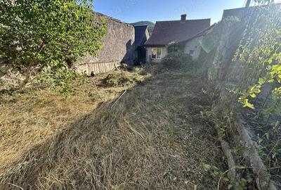 Casa Resita - 6