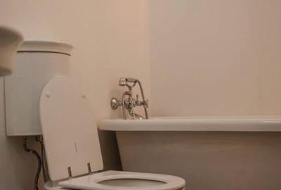 Apartament 2 camere | Iancului | Mega Mall - 10