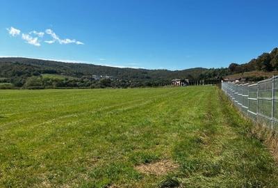 Teren Construcții intravilan de 4451 mp, în Gilău - 2