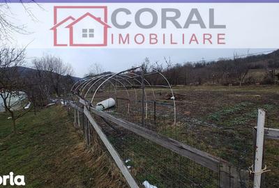 Casă cu 3 camere cu Teren 2070 Mp în Cârjiți - 1