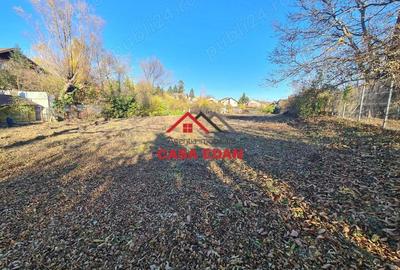 Teren intravilan in Cornu 3171 mp--89.000e - 1