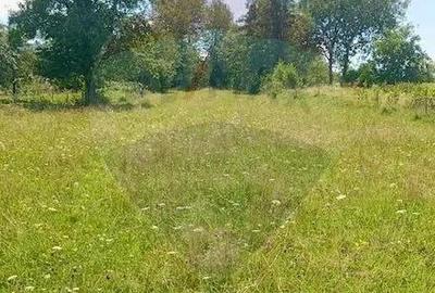 Teren 1,915mp Breb / Drumul Principal - 5