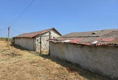 Casă cu 2 camere cu Teren 1722 Mp în Vadu - 7