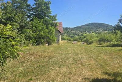 Casa cu teren 5900 mp str. Ghinzii sub padure - 6