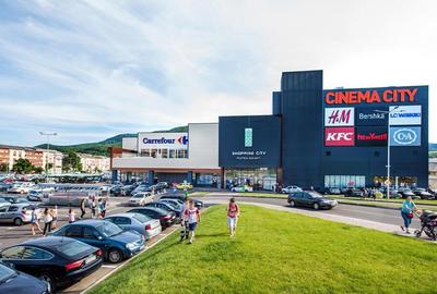 Apartament cu 3 camere decomandat, mobilat în Precista - 15