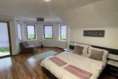 Casă cu 6 camere cu Teren 500 Mp în Centura - 9