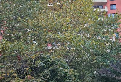 Vanzare 4 camere - Central Park - Barbu Vacarescu Vanzare 4 camere - Central Park - Barbu Vacarescu - 19