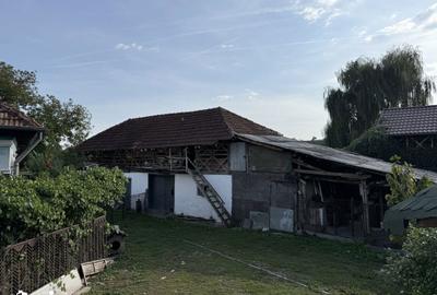 Casă cu 5 camere cu Teren 1754 Mp în Mălureni - 14