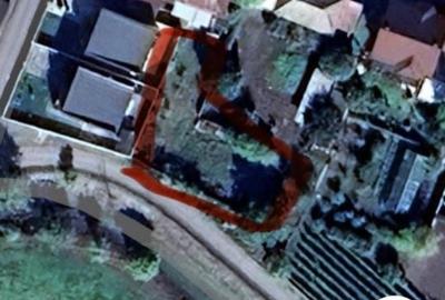 Spațiu comercial, în Valu lui Traian - 2