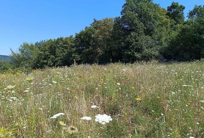 Spațiu comercial, în Corunca