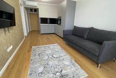 Apartament nou cu 2 camere de inchiriat in Aviatiei Park - 2