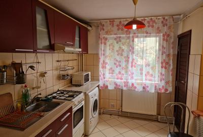 De Inchiriat Apartament 2 camere semidecomandat etaj 1 Zamca -Suceava - 3