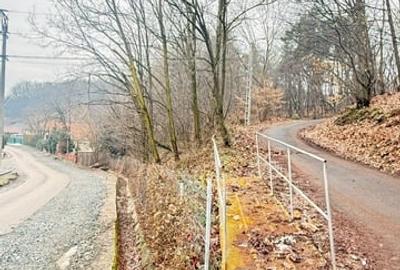 Teren intravilan de 24880 mp, în Griviței - 13