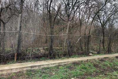 Teren de 3478 mp, în Viișoara - 2