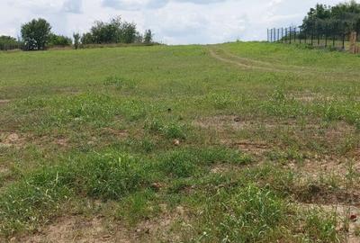 Teren intravilan, vedere la Dunare, 1000mp - 1