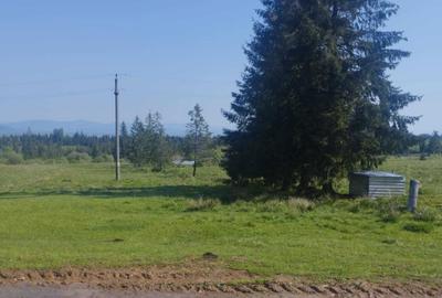 Teren de 1000 mp, în Beliș - 3