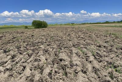 Teren la 13 KM de Baia Mare - 4