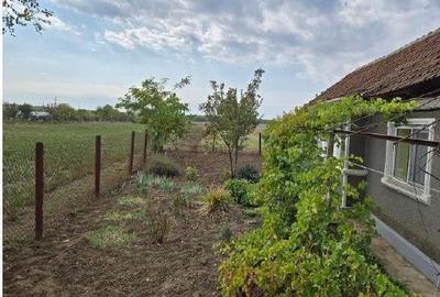 Casă cu 3 camere în Viișoara - 8