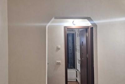 Apartament cu 2 camere decomandat în Brazda lui Novac - 8