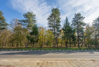 SNAGOV – CENTRAL, CASA 144 MP, LOT 1000 MP! - 29