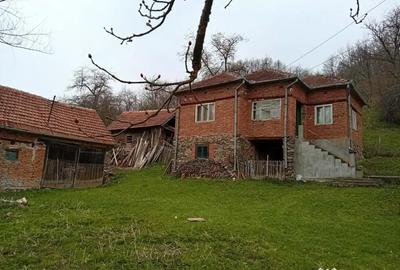 Casă cu 4 camere în Poieni (Densuș) - 2