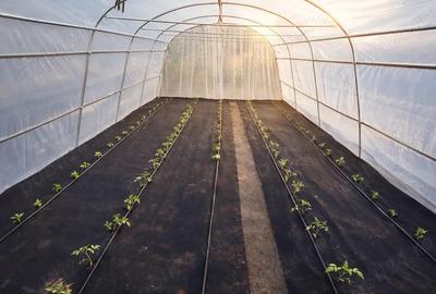 Casă cu Teren 3074 Mp în Cordun - 7