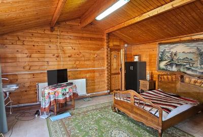 Casă cu 2 camere în Criș - 9