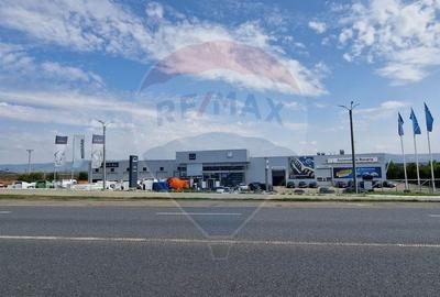 Teren Construcții intravilan de 4874 mp, în Nord - 2