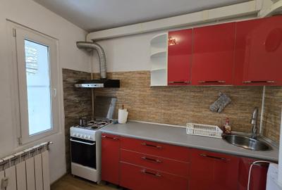 Garsonieră decomandată, mobilată în Dristor - 11