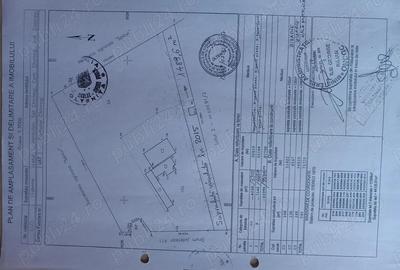 Teren intravilan 9970 mp , com. Chirnogi, jud. Calarasi (situat la 50-60 km de Bucuresti) - 3