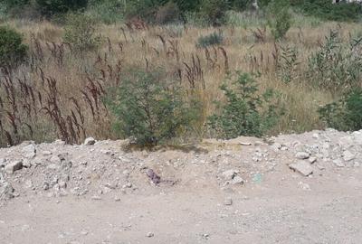 Teren Construcții intravilan de 20044 mp, în Theodor Pallady - 8